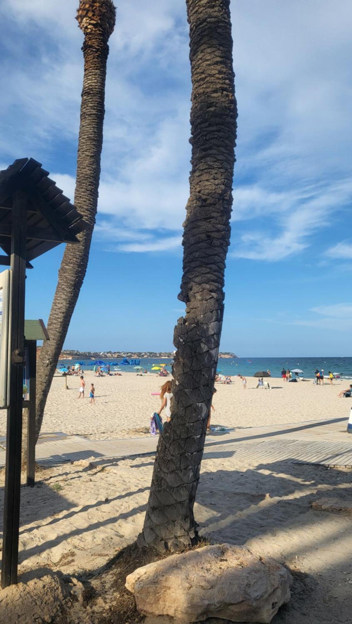 Apartamento Ines, Dehesa De Campoamor,900M From The Sea , Swimming Pool & Tennis Court מראה חיצוני תמונה
